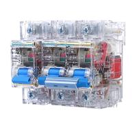 TWEFTPKD 1P/2P DC Circuit Breaker DC24V48V60V120VAir Switch 80A100A125A for Battery Protection Switch(80A,1)