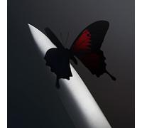 TWELVE CARAT TOOTHACHE