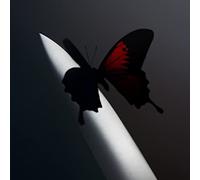 Post Malone Twelve Carat Toothache Cassette Tape | New Sealed cassette album