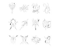 Twelve Constellations Herbal Juice Tattoo Stickers Personalized Men And Women Waterproof Non-reflective Long-lasting