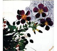 TWENTYINCHBURIAL-HOW MUCH WILL WE...