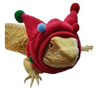 TWEW Pompoms Scarf Lizards Outfit Great for Exhibitions and Pet Stores Reptiles Hat for Indoor and Outdoor Activities