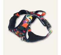 Twiggy Tags Aurora Dog Harness S3