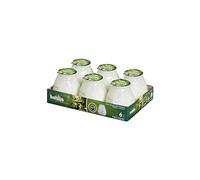 Bolsius - Outdoor Candles - 6 Pieces - in Glass - White - Burning Time 70 Hours - No Palm Oil - Clean Burning - Cotton Wick - Non Scented
