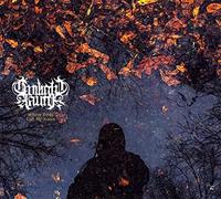 Twilight Fauna - Where Birds Sing My Name
