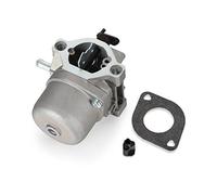 Twilight Garage Carburetor Carb Replace For BRIGGS &STRATTON 799728 498027 498231 499161 w/Gasket