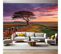 Twilight Mural Wallpaper Sunset Landscape Tree Non-Woven Art Print 390 x 260cm Wall Murals Poster Picture Design Modern Decoration for Bedrooms Living Room Children Nursery