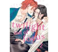 Twilight Out of Focus 2: Afterimages in Slow Motion