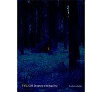 Twilight: Photography in the Magic Hour