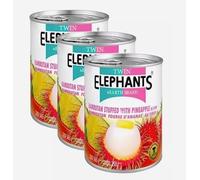 Twin Elephants & Earth Thai Rambutan Stuffed with Pineapple in Syrup 565g (Pack of 3) HALAL
