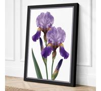 Twin Irises Botanical Canvas Wall Art Print 30x20 Inch | Black