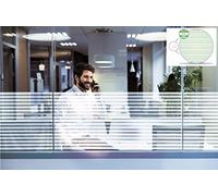 Twin Line Window Film - Hieda A Self Adhesive, Decorative Privacy Window Film, Glass Sticker, Twin Clear Lines Running Through Frosted Film 2mx50cm (20")