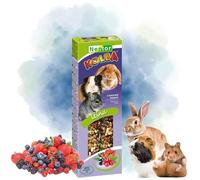 Twin Pack Hamster and Rabbits Two Sticks Food FOREST FRUITS Flavor 115g Guinea Pig Rat Mouse Gerbil Rodents Animal Pet Vegetable Foods Pack of Two Snacks or Treats with Hooks
