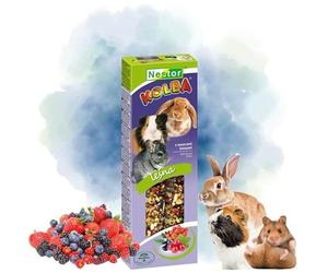 Twin Pack Hamster and Rabbits Two Sticks Food FOREST FRUITS Flavor 115g Guinea Pig Rat Mouse Gerbil Rodents Animal Pet Vegetable Foods Pack of Two Snacks or Treats with Hooks