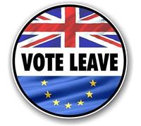 Twin Pack of ' VOTE LEAVE ' Slogan design for EU European Union Referendum Brexit Vinyl Car Bumper Sticker Decal 80x80mm each