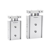 Twin-Rod Cylinder Pneumatic CylinderTR16 TR20 TR25 TR32 Air Cylinder 10-200mm Stroke with Magnet(Stroke 70mm Magnetic,TR32 (Bore 32mm))