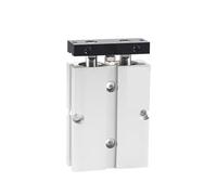 Twin-Rod Pneumatic Cylinder TN10 16 20 25 32mm 30 40 50 60 80 100 150 200mm(Stroke 125mm,TN25)