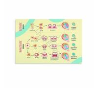 Twin to Twin Transfusion Syndrome Placentation Visual Guide Poster Maternal Fetal Medicine Doctor Office Wall-Art Canvas Painting
