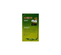 Twinings Mint Green Tea 20 Tea Bags