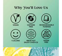 Twinings Superblends Detox - Lemon, Ginger & Burdock Root Herbal Tea Infusion with Fennel & Selenium, 80 x Biodegradable Tea Bags