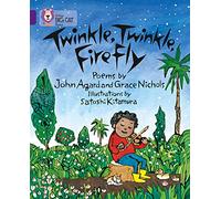 Twinkle, Twinkle, Firefly: Band 08/Purple (Collins Big Cat)