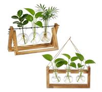 TWINKLEMON 2 Pcs Plant Propagation Stations, 6 Glass Vases with Wooden Stand, Plant Terrarium Jar for Hydroponic Plants,Desktop Water Plant Propagation for House Plants Flower Plant Lovers Office Home