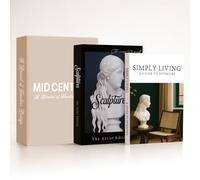 twinklemon 3 Pcs Decorative Books Boxes with Lids, Sculpture Pattern Fake Books Storage Boxes, Vintage Aesthetic Faux Book Set for Coffee Table Bookshelf Home Decor, Jewellery Storage & Keepsake Box