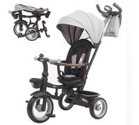 Twinly Foldable Baby Trike 1-5 Years with Reclining and Reversible Seat - Grows with Your Child, 5-Point Safety Harness, Brake and Protective Bar SAMI (Grey)