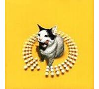 Twist This Pussy by Various Artists