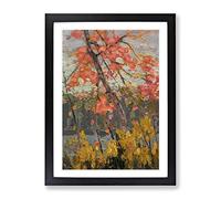 Twisted Maple By Tom Thomson Classic Painting Framed Print | A4 Black Framed Wall Art | Ready to Hang | Classic Historical Picture | Living Room Bedroom Lounge Office