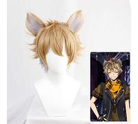 Twisted-Wonderland Floyd Jade Idia Shroud Epel Felmier Lilia Vanrouge Ace Trappola Riddle Rosehearts Cater Diamond Cosplay Wigs CHINA Ruggie