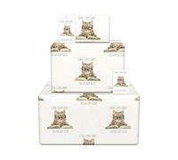 Twizler Birthday Wrapping Paper - Funny Cat Happy Birthday Gift Wrap | 2 Sheets & 2 Tags - 70 x 50cm Folded Sheets - Cat Wrapping Paper - Female Male Him Her Women Men Adults