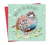 Twizler Funny Christmas Card Partridge Pears - Merry Christmas Cards Funny - Xmas Card - Mens Christmas Card for Him Husband Dad Son - Womens Christmas Card for Her Wife Mum Daughter