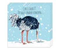 Twizler Funny Christmas Cards Pack of 3 - Ostrich Design - 3 Pack of Merry Christmas Cards - Funny Xmas Cards Multipack