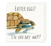 Twizler Funny Easter Cards Pack of 3 - Tortoise Design - Easter Cards Multipack - 3 Pack of Easter Cards - Happy Easter Cards