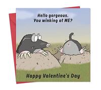 Twizler Funny Valentine's Day Card Moles Winking - Valentine Card for Husband or Wife - Valentine's Cards Him or Her - Fiance Valentine Card Fiancee - Boyfriend Girlfriend Partner