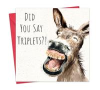 Twizler New Baby Triplets Card - Donkey - Funny New Baby Triplet Boy or Girl Card - Congratulations Newborn