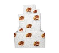 Twizler Womens Birthday Wrapping Paper & Matching Card for Her - Scottish Highland Cow - 4 Sheets & 4 Tags & Matching Card - 70cm x 50cm Folded Sheets - Funny Gift Wrap