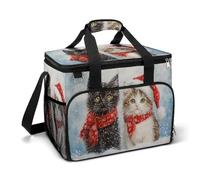 Two Adorable Cats in A Snowy Winter Camping Cooler Bag Insulated Beach Coolers Portable Leak Proof Bags with Shoulder Strap