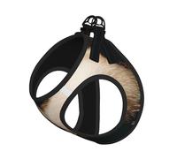 Two Adorable Panda Cubs Dog Harness - Breathable, Reflective, And Adjustable Pet Vest, Suitable For Small Cats And Dogs