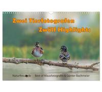 Two animal photographers Twelve highlights UK-Version (Wall Calendar 2026 DIN A3 Landscape), CALVENDO 12 Month Wall Calendar