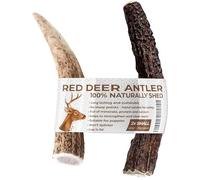 Two Antler Chews for Puppies, SMALL, Sustainable, Naturally Shed, Deer Antlers, Puppy Toys, Small Dog Toys