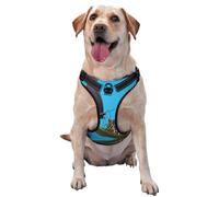 Two Beautiful Butterflies Dog Harness - Equipped with pet Leash Reflective Straps and Quick Release Buckles - Suitable for All Types of Dogs