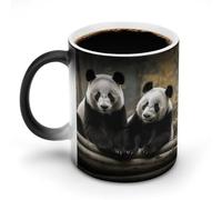 Two Big Pandas Color Changing Mug Heat Sensitive Coffee Mugs Unique Magic Ceramic Cup Funny Art Mug Large Novelty Tea Cup Personalized Discoloration Mugs for Xmas Funny Gifts