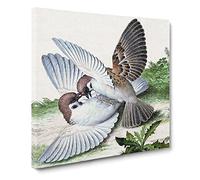 Two Birds by Lang Shining Canvas Print | Gallery Wrapped 30mm Frame Wall Art | 20x20 inches | Ready to Hang | Modern Bird Picture | Living Room Bedroom Lounge Office