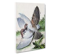 Two Birds by Lang Shining Canvas Print | Gallery Wrapped 30mm Frame Wall Art | 30x20 inches | Ready to Hang | Modern Bird Picture | Living Room Bedroom Lounge Office