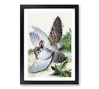 Two Birds by Lang Shining Framed Print | A2 Black Framed Wall Art | Ready to Hang | Modern Nature Picture | Living Room Bedroom Lounge Office