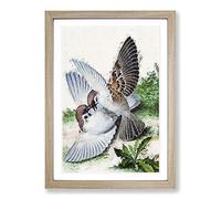 Two Birds by Lang Shining Framed Print | A2 Oak Framed Wall Art | Ready to Hang | Modern Nature Picture | Living Room Bedroom Lounge Office
