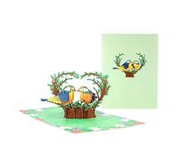 Two Birds in Heart Nest 3D Pop Up Greeting Card
