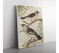 Two Birds On Branches By Theo Van Hoytema Classic Painting Canvas Wall Art Print Ready to Hang, Framed Picture for Living Room Bedroom Home Office Décor, 60x40 cm (24x16 Inch)